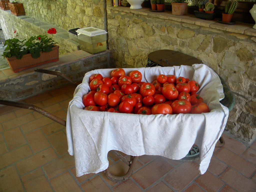 Giunasco Bagnone Dış mekan fotoğraf