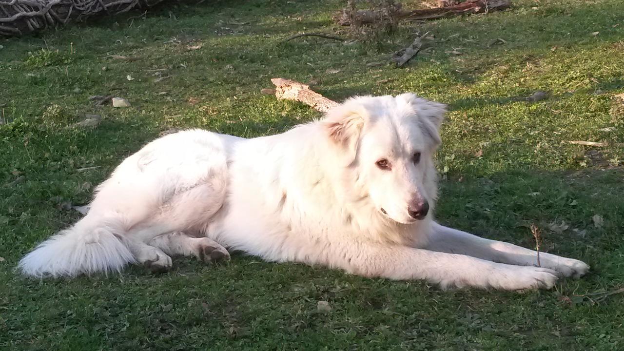 Giunasco Bagnone Dış mekan fotoğraf
