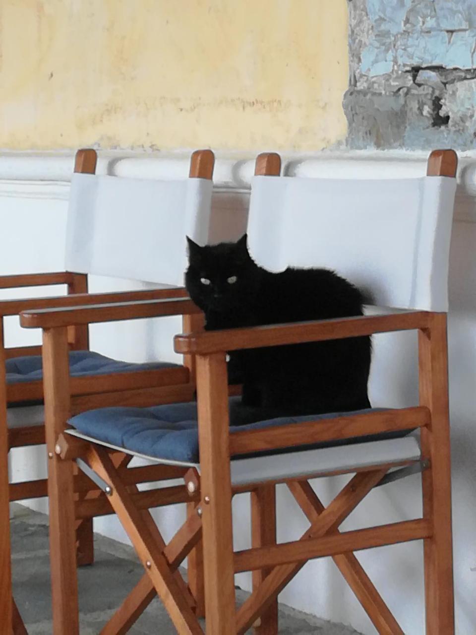 Giunasco Bagnone Dış mekan fotoğraf